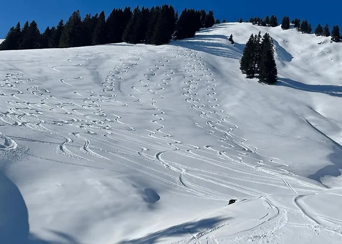 Angelas Oberstaufen *