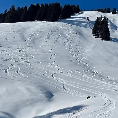 Angelas Oberstaufen *
